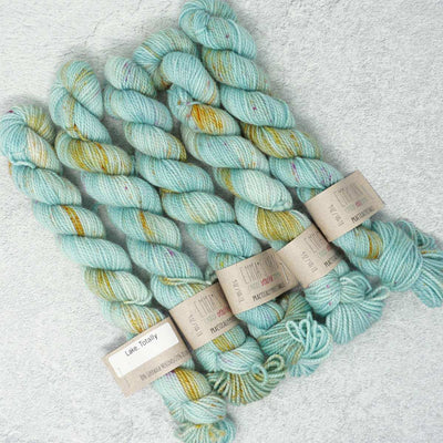 Emma's Yarn - Practically Perfect Sock Minis - 20g - Lake Totally | Yarn Worx