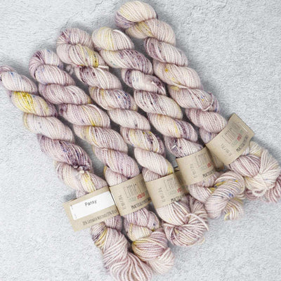 Emma's Yarn - Practically Perfect Sock Minis - 20g - Pansy | Yarn Worx