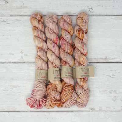 Emma's Yarn - Simply Spectacular DK Smalls - 20g - Glamping | Yarn Worx