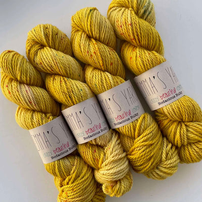 Emma's Yarn - Bodacious Bulky Yarn - 100g - Aw Shucks | Yarn Worx