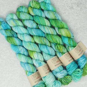 Emma's Yarn - Previous Yarn Club Colours - Practically Perfect Smalls Sock Minis - 20g - August 2021 | Yarn Worx