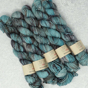 Emma's Yarn - Previous Yarn Club Colours - Practically Perfect Smalls Sock Minis - 20g - August 2021 | Yarn Worx