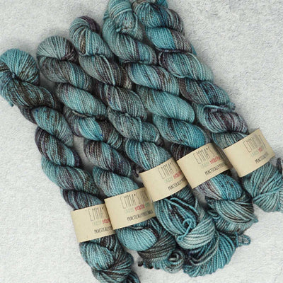 Emma's Yarn - Previous Yarn Club Colours - Practically Perfect Smalls Sock Minis - 20g - February 2022 | Yarn Worx