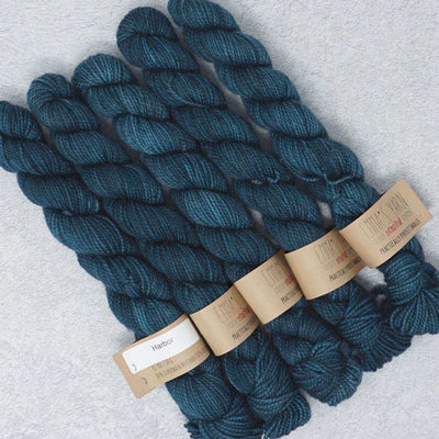 Emma's Yarn - Practically Perfect Sock Minis - 20g - Harbor | Yarn Worx