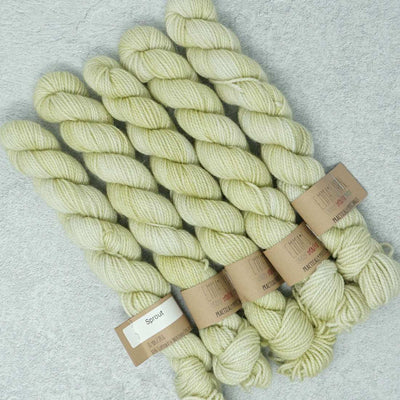 Emma's Yarn - Practically Perfect Sock Minis - 20g - Sprout | Yarn Worx