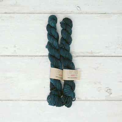 Emma's Yarn - Simply Spectacular DK Smalls - 20g - Harbor | Yarn Worx