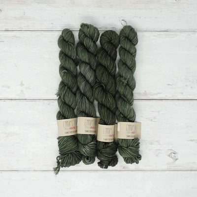 Emma's Yarn - Simply Spectacular DK Smalls - 20g - Kale | Yarn Worx