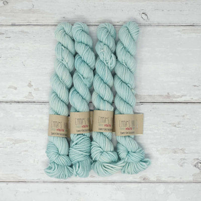 Emma's Yarn - Simply Spectacular DK Smalls - 20g - Love + Leche | Yarn Worx