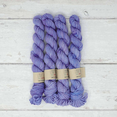 Emma's Yarn - Simply Spectacular DK Smalls - 20g - Wink | Yarn Worx