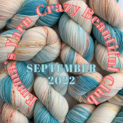 Emmas yarn crazy beautiful colour club | Yarn Worx