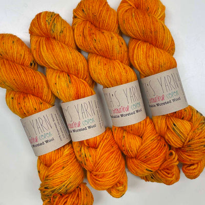 Emma's Yarn - Washable Worsted Wool - 100g - Floridian Zest | Yarn Worx