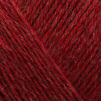 Filcolana - Arwetta - 50g shown in colour 810 Chrysanthemum Melange | Yarn Worx