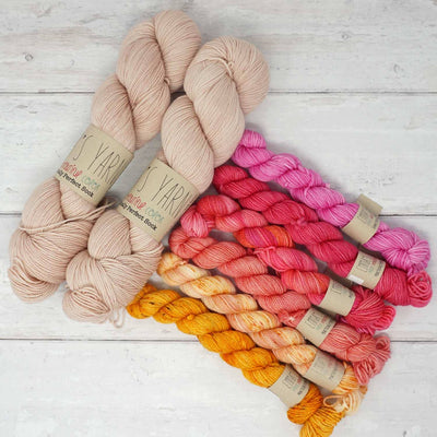 Ice Cream Social Kits - Emma's Yarn Practically Perfect Sock - Florida Kit | Yarn Worx