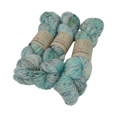 Emma's Yarn - Practically Perfect Sock - 100g - Iguana