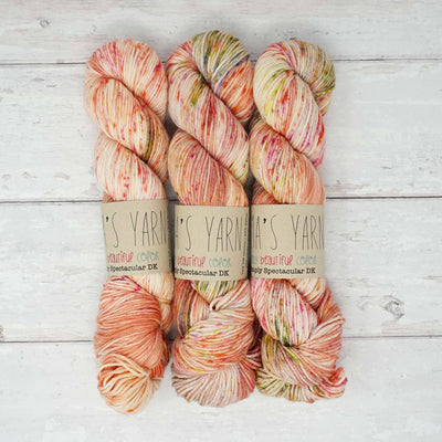 Emma's Yarn - Simply Spectacular DK Yarn - 100g - March 2021 Crazy Beautiful Colour Club  | Yarn Worx