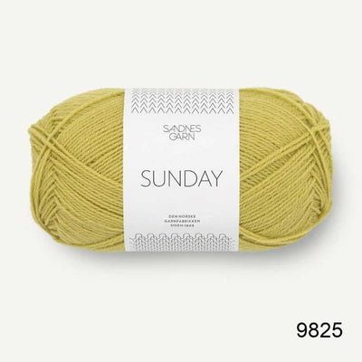 Sandnes Garn - Sunday - 50g in colour 9825 | Yarn Worx