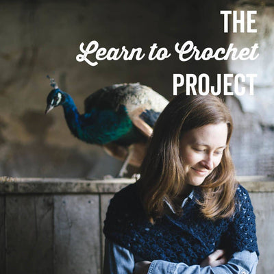 The Learn to Crochet Project - A Beginners Course Book | Yarn Worx