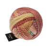 Schoppel Wolle - Crazy Zauberball Sock Yarn Early Autumn 2545 | Yarn Worx