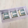 White Candle Company - The  Spring Collection Gift Box (3 Votive Candles) | Yarn Worx